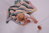 Strickanleitung Babydecke Farbenspiel in der Größe 65x65 cm