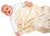 Strickset Pima Cotton - Babydecke Sommerbriese mit Ajourmuster in 60x80cm